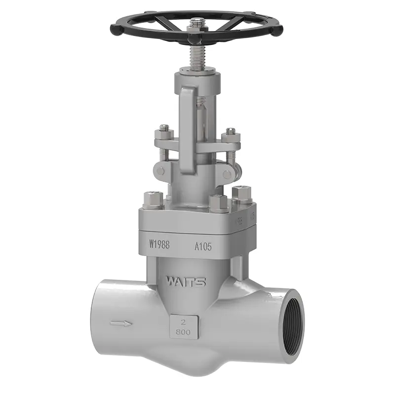NPT Forged Steel Globe Valve